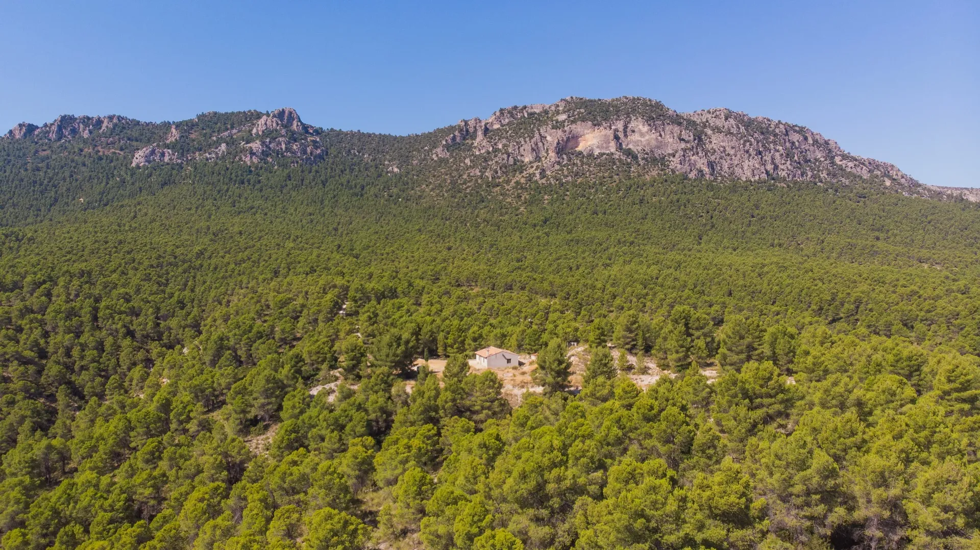 COPEJUMILLA-monte
