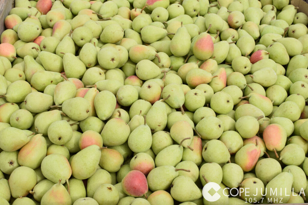 COPEJUMILLA}DSC_5538