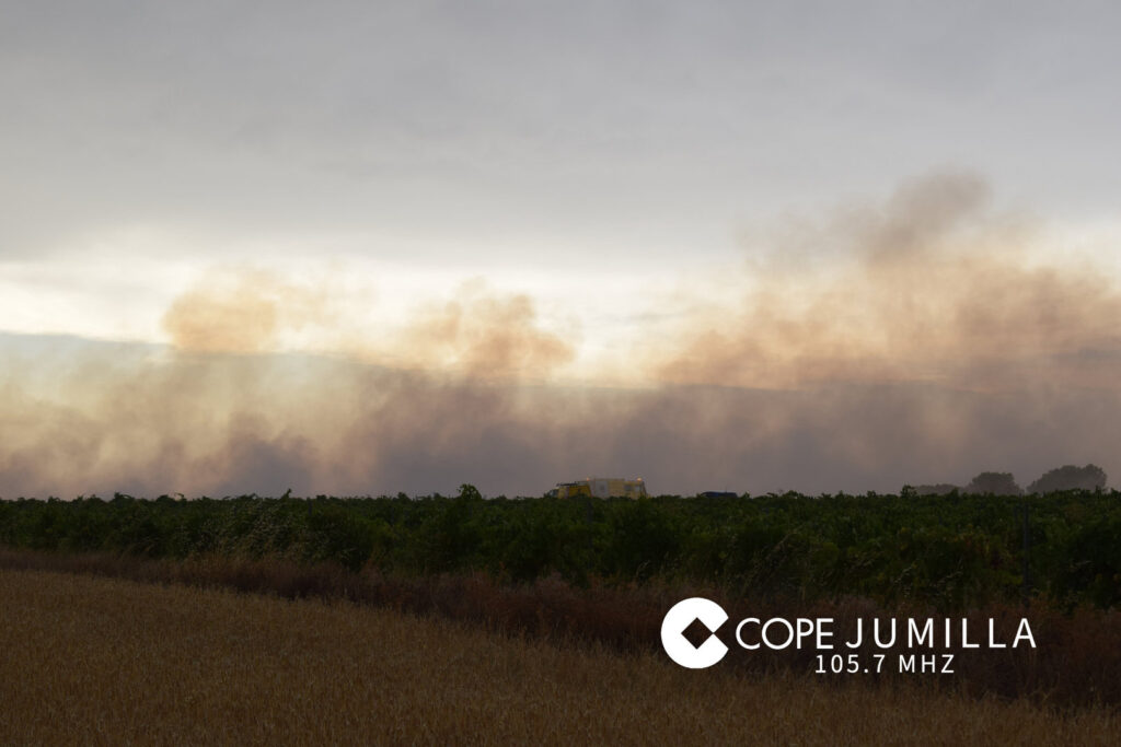 COPEJUMILLA_COPEJUMILLADSC_6643